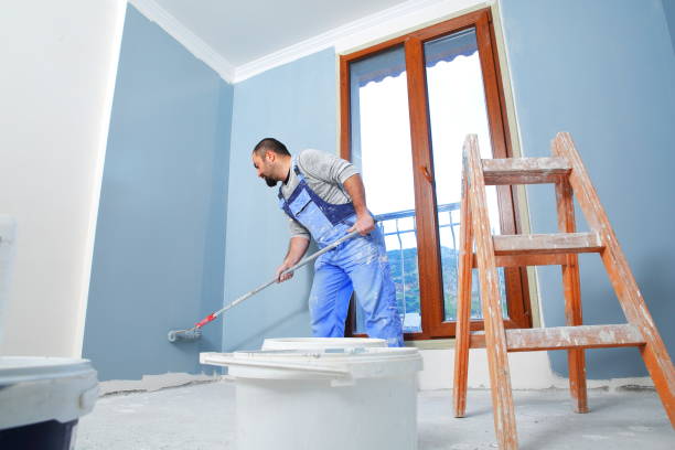 Reliable Peaceful Valley, WA Mold Removal Solutions