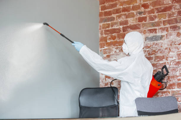 Best Commercial Mold Inspection  in Peaceful Valley, WA