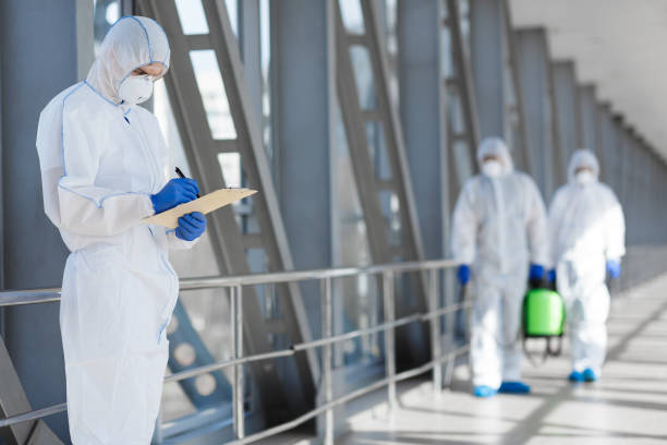 Environmental Consulting for Mold Prevention in Peaceful Valley, WA