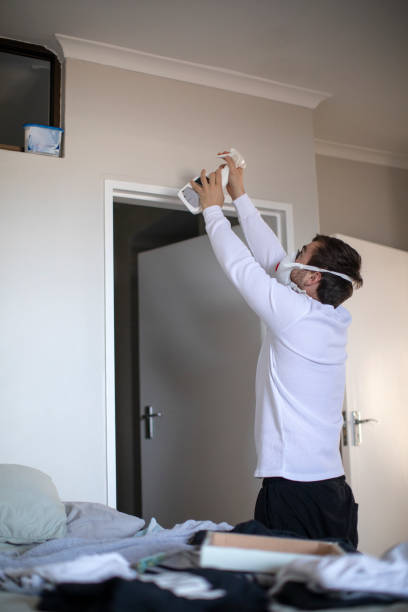 Asbestos and Lead Testing During Mold Inspection in Peaceful Valley, WA