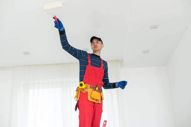 Best Mold Remediation for Healthcare Facilities  in Peaceful Valley, WA