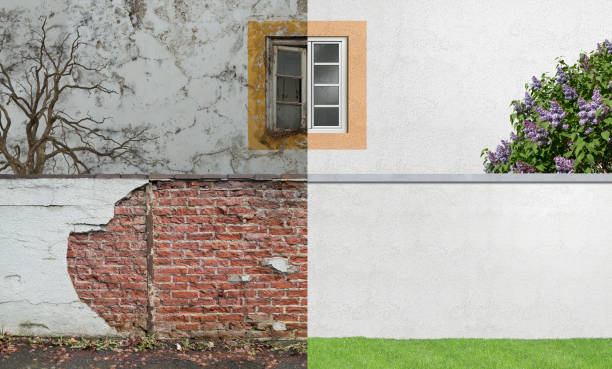 Best Environmental Consulting for Mold Prevention  in Peaceful Valley, WA