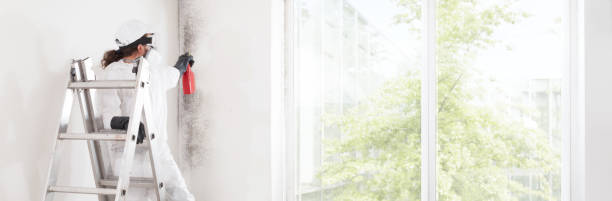 Best Industrial Mold Remediation  in Peaceful Valley, WA