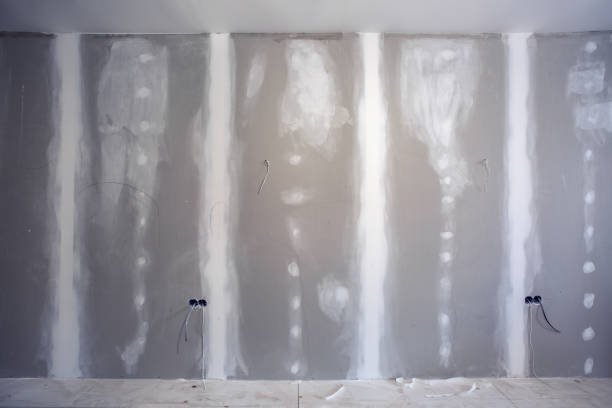 Best Asbestos and Lead Testing During Mold Inspection  in Peaceful Valley, WA